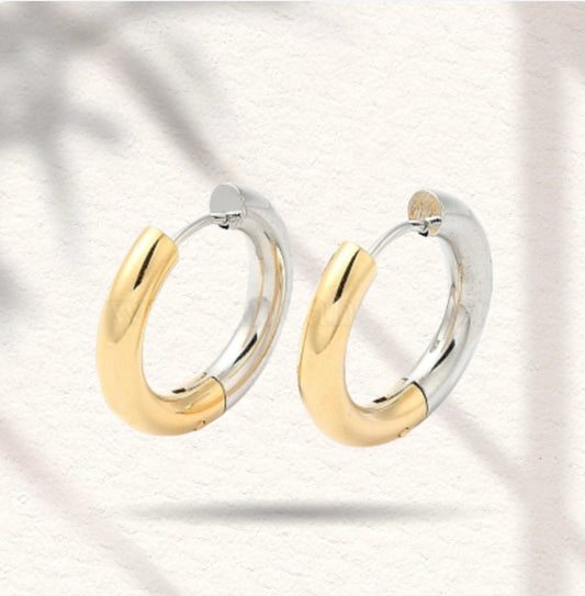 Hoop Earrings Two Tones